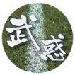 武惑